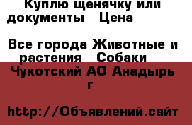 Куплю щенячку или документы › Цена ­ 3 000 - Все города Животные и растения » Собаки   . Чукотский АО,Анадырь г.